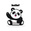 Black T-Shirt Hello Panda